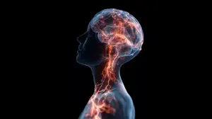 Illustration of the brain processing pain signals through glowing neural pathways in the body.