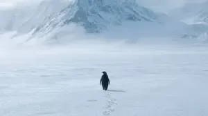 A lone penguin walking across ice toward distant mountains, illustrating the viral nihilist penguin meme and its psychological meaning.