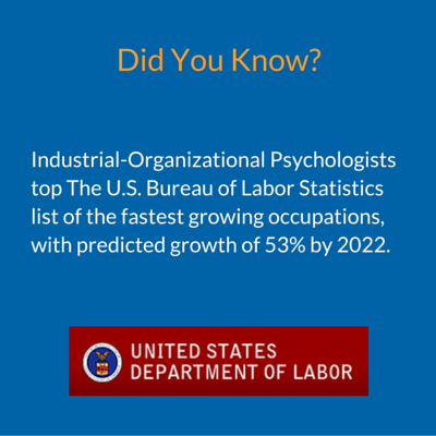 Industrial-organizational psychologists