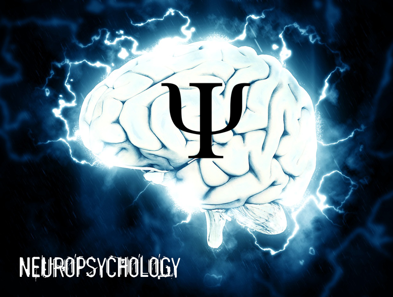 Neuropsychology information and resources. Learn all about the fascinating branch of psychology which explores the relationships between the brain and behavior.