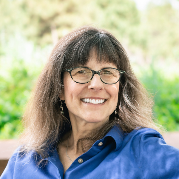 Photo of Stacey Freedenthal, PhD, LCSW