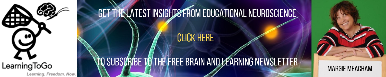 The Brain and Learning Newsletter
