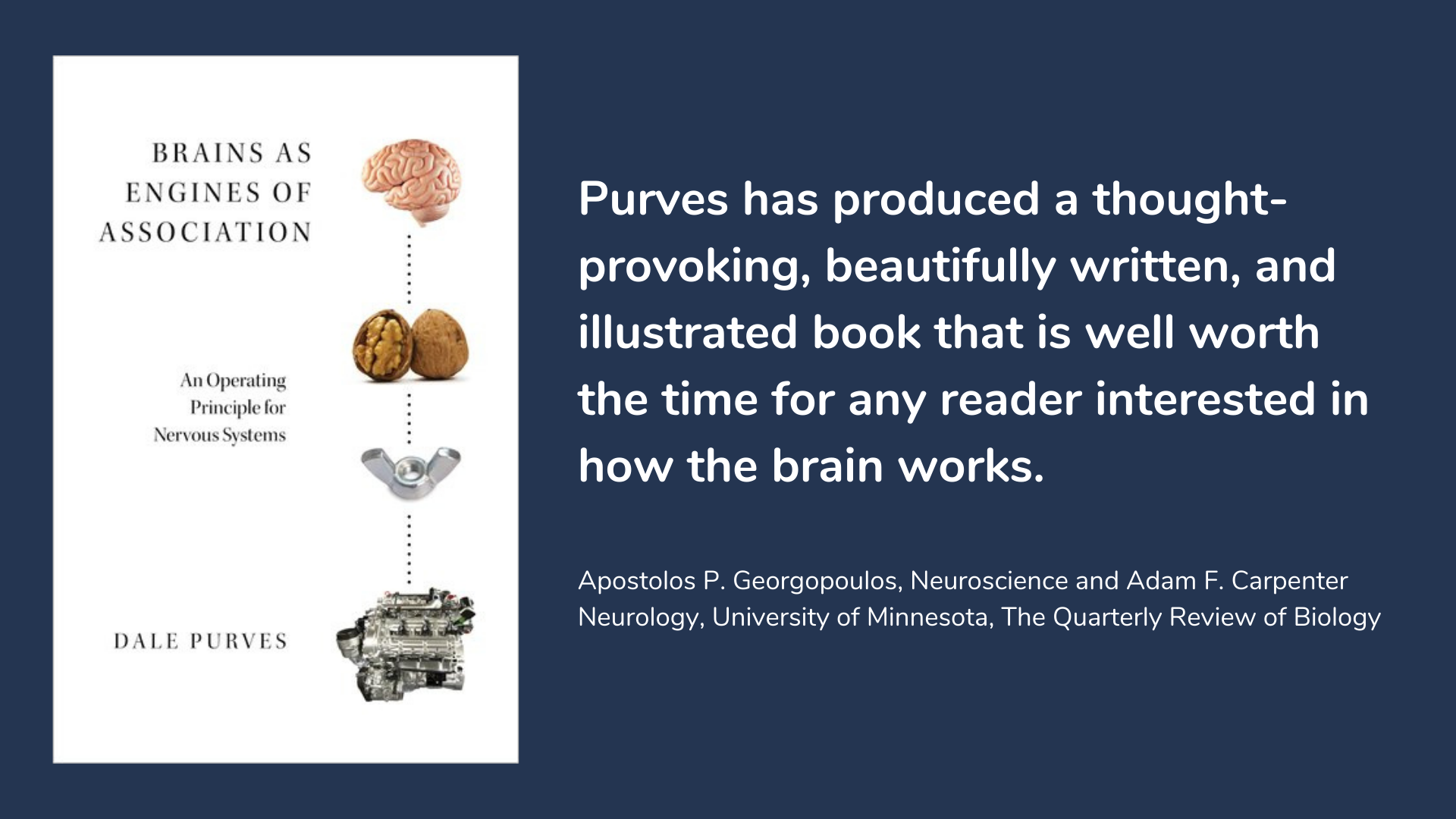 Brains as Engines of Association, book cover and description.