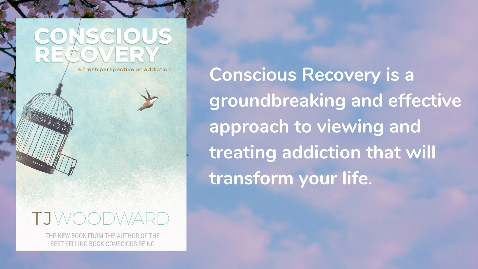 Conscious Recovery: A Fresh Perspective on Addiction by TJ Woodward