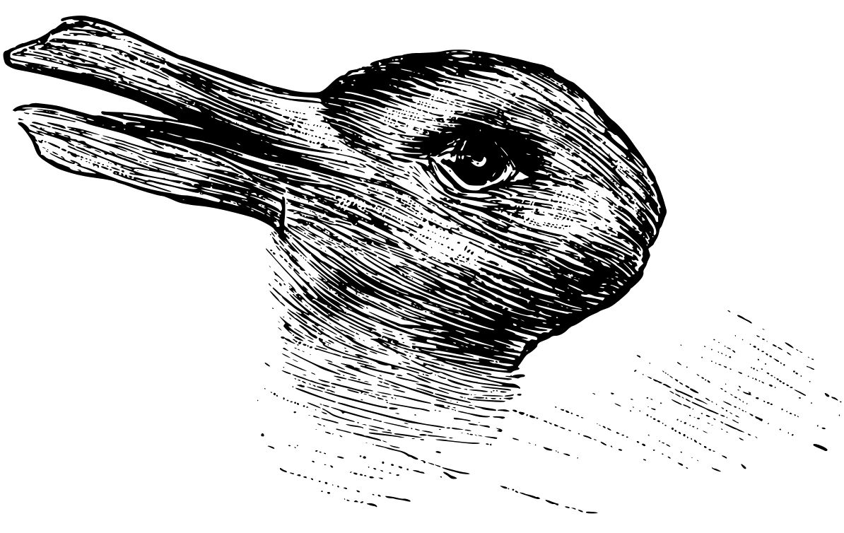 Ambiguous duck-rabbit illusion illustrating how perception shifts without the image changing
