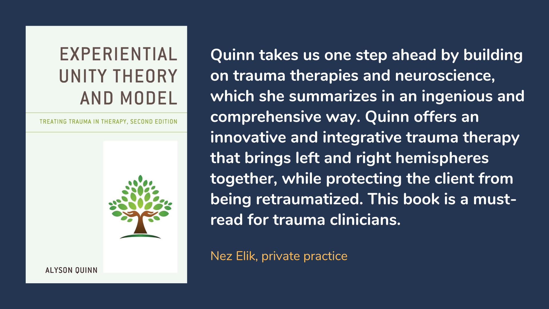 Experiential Unity Theory and Model: Treating Trauma in Therapy, book cover and description