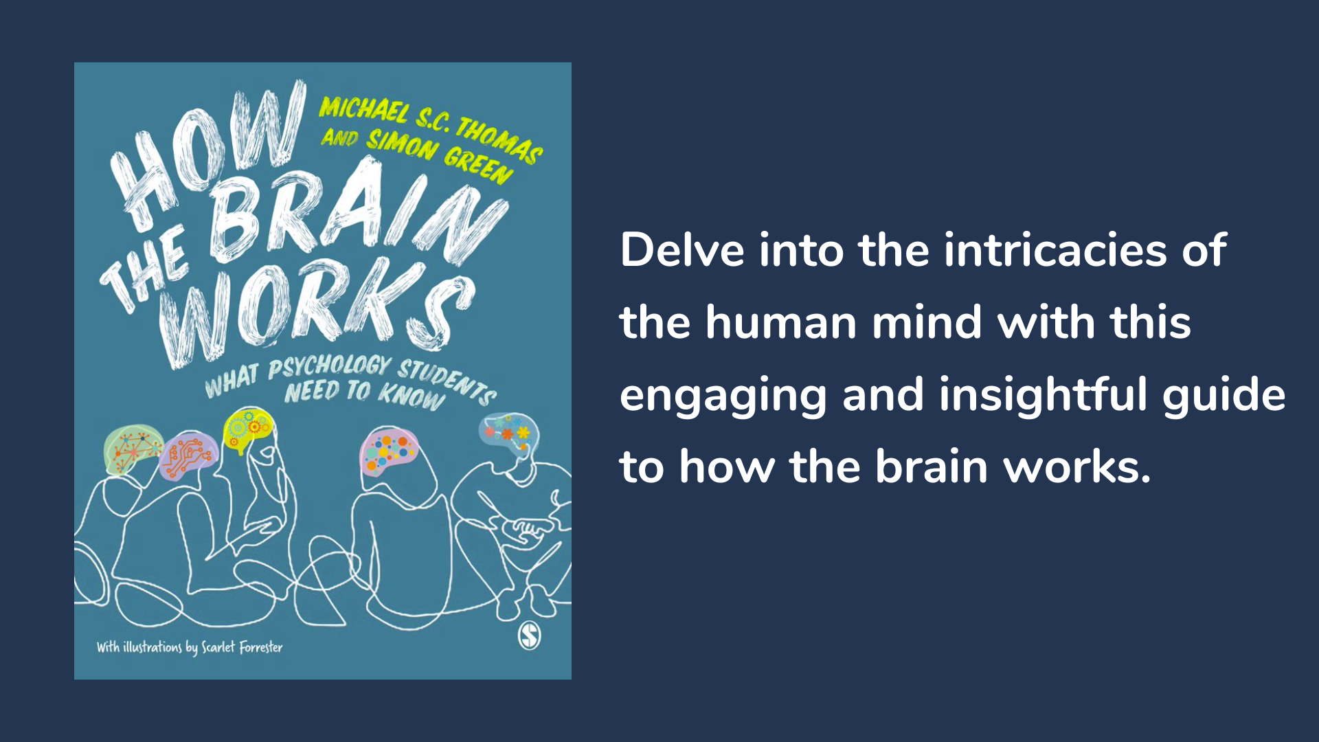 How the Brain Works: What Psychology Students Need to Know, Book cover and description.