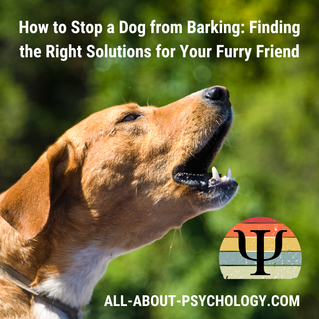 How to Stop a Dog from Barking Finding the Right Solutions for Your Furry Friend