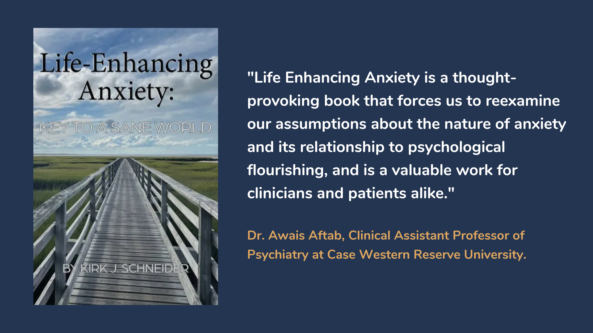 Life Enhancing Anxiety: Key to a Sane World. Book cover and description
