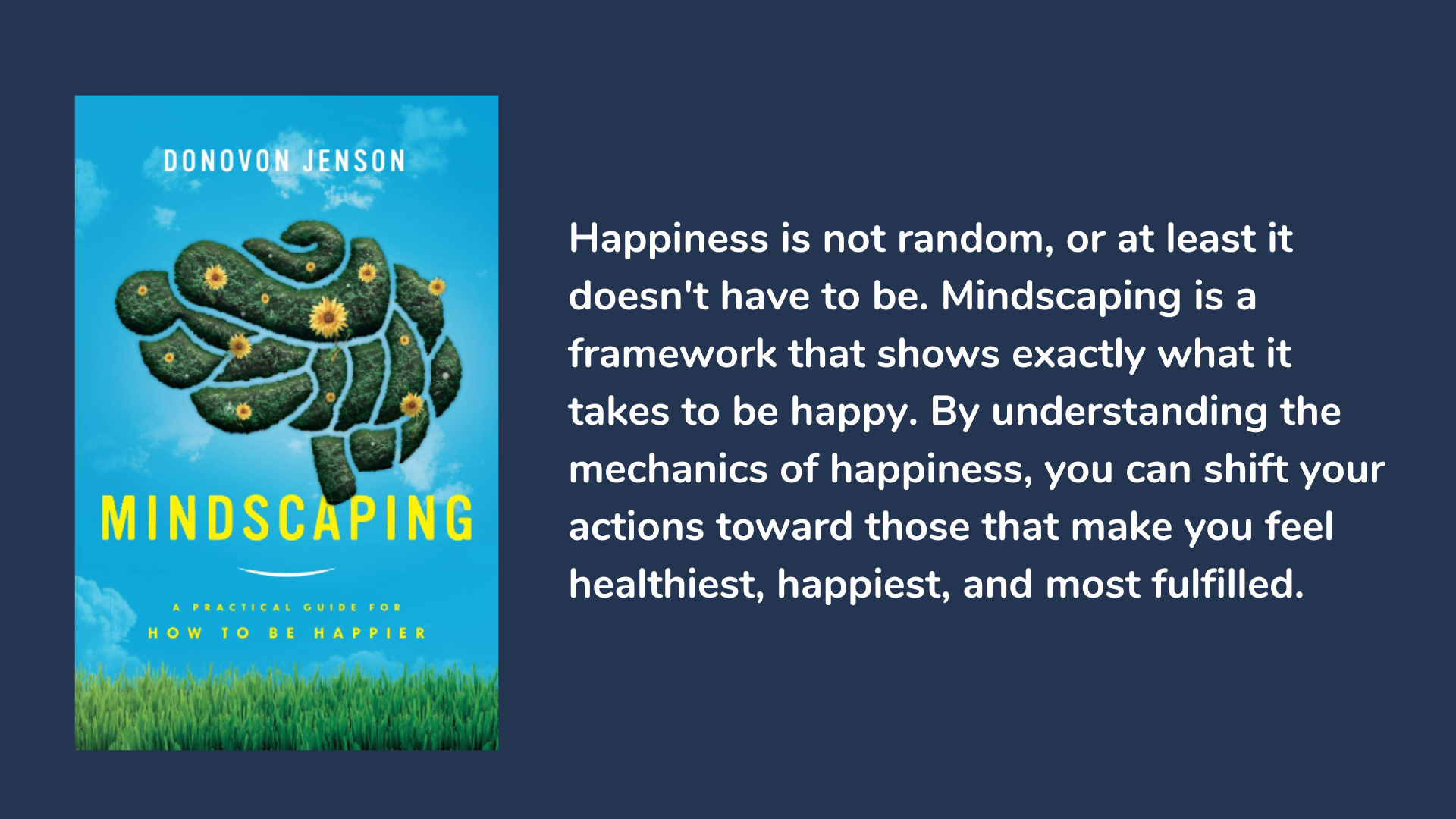 Mindscaping: A Practical Guide For How To Be Happier, book cover and description.