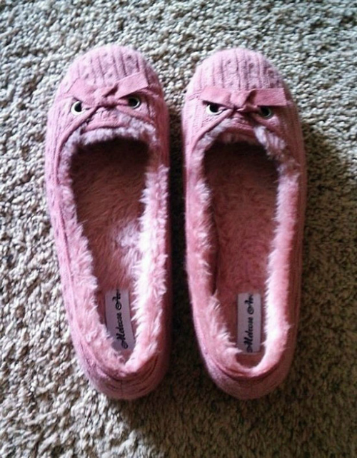 Pareidolia The Angry Slipper Twins