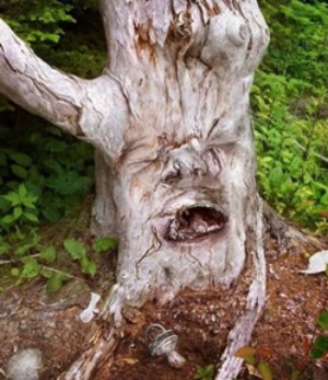 pareidolia Tormented Tree