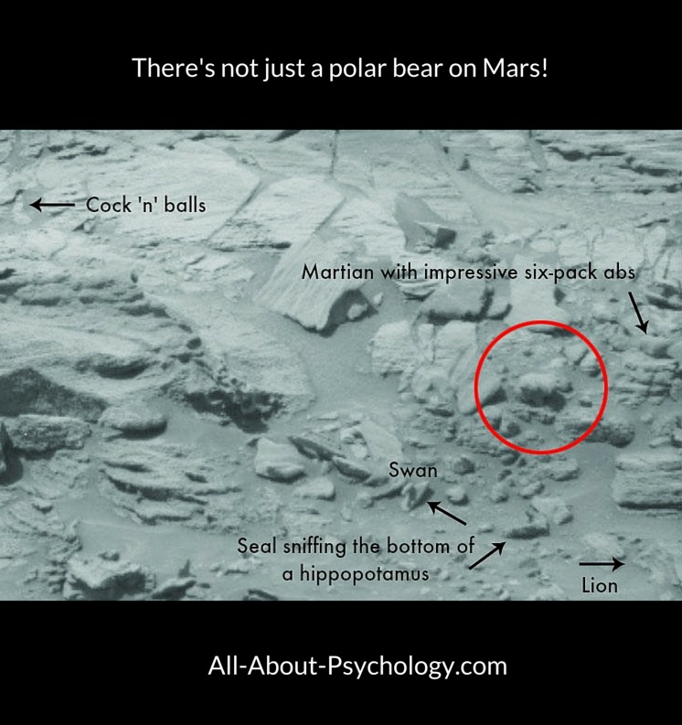 There's More Than Just A Polar Bear on Mars!
