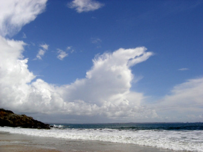 Pareidolia Rabbit Cloud