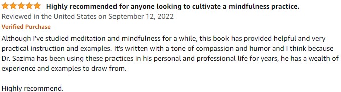 Practical Mindfulness: A Physician's No-Nonsense Guide to Meditation for Beginners, book cover and description Amazon customer review