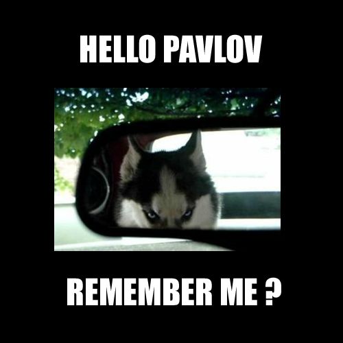 Hello Pavlov remember me psychology meme.