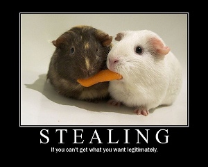 Psychology Of Stealing