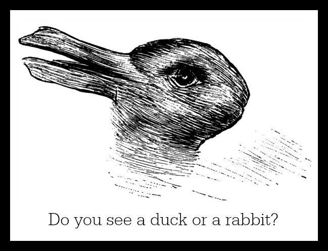 Duck Rabbit Illusion