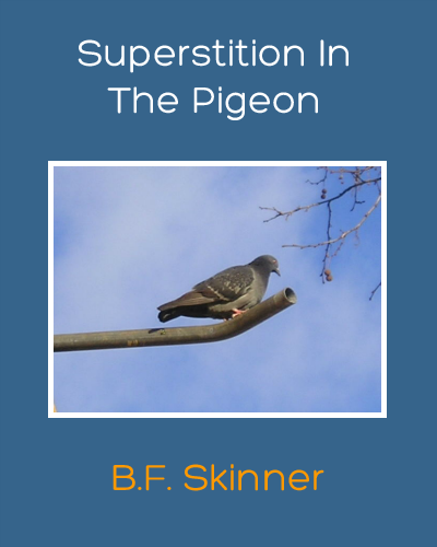 Superstition in The Pigeon by B.F. Skinner