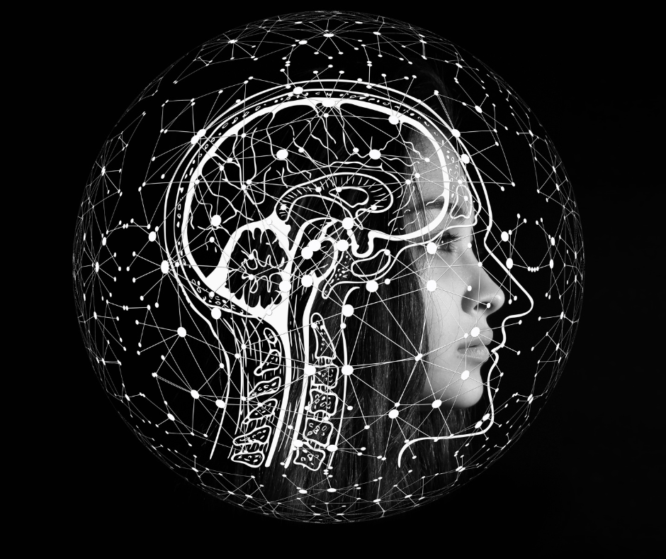Teenage brains