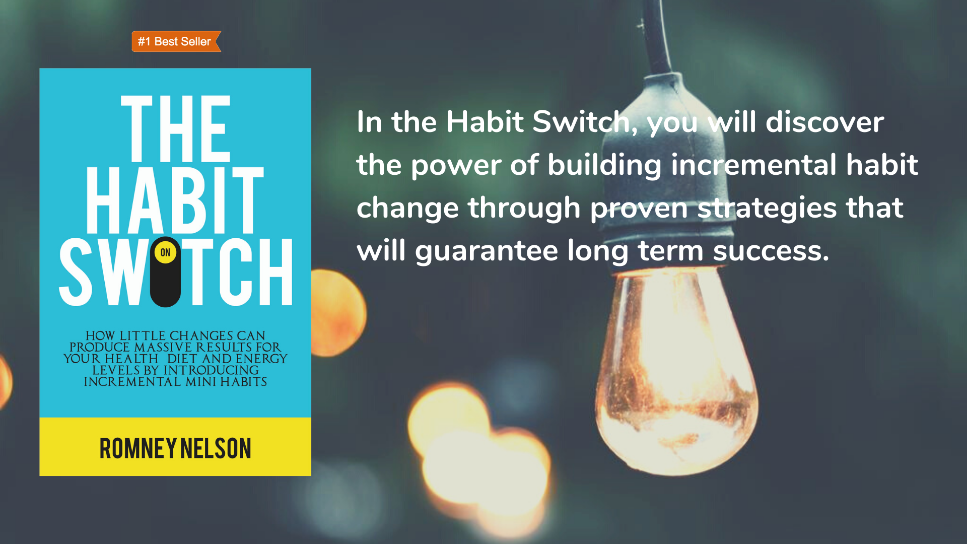 The Habit Switch by Romney Nelson