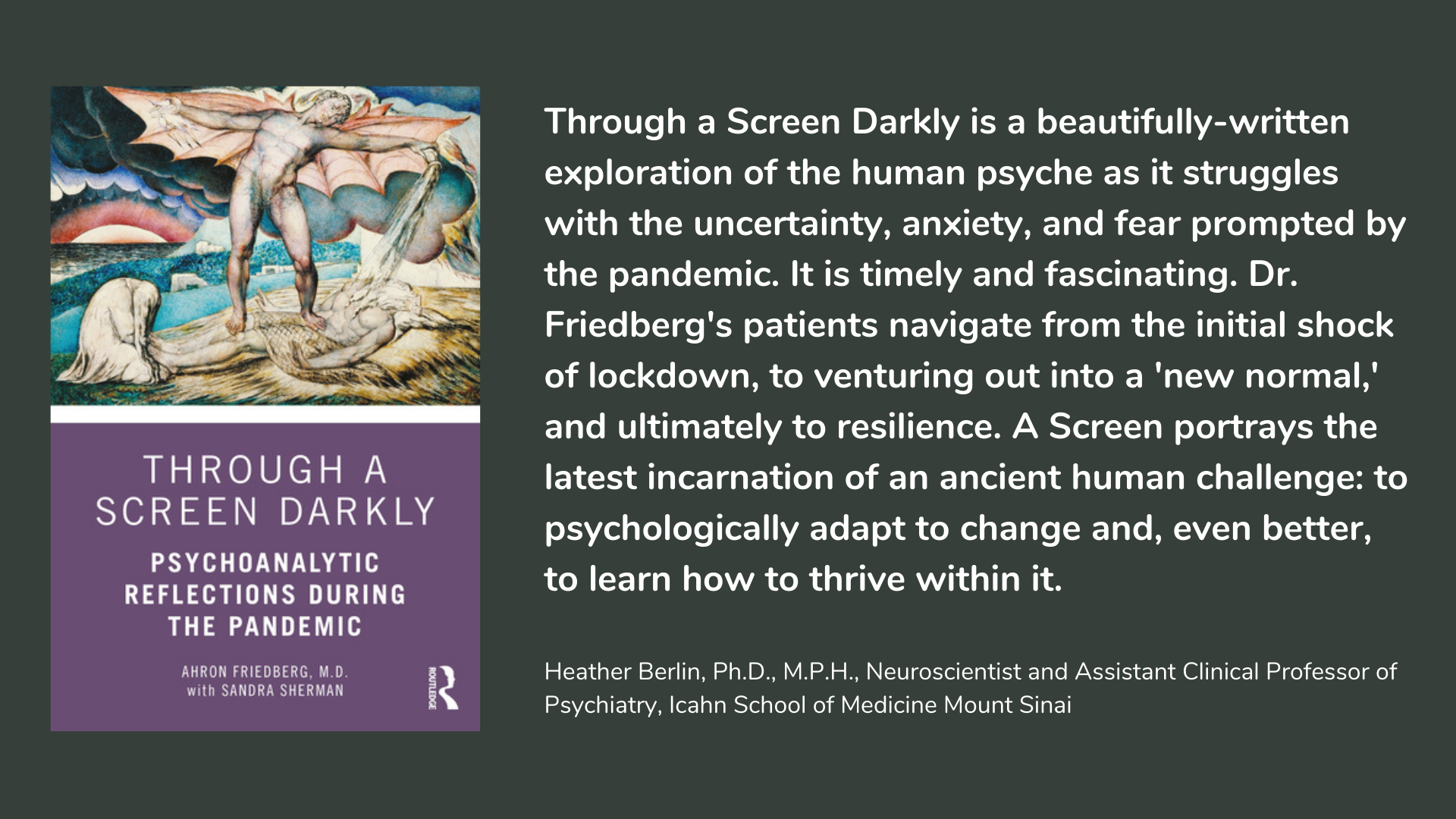 Through a Screen Darkly Psychoanalytic Reflections During the Pandemic. Book cover and description