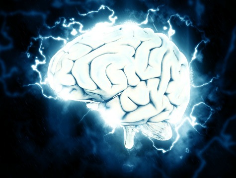 Turning the Other Lobe: Directional Biases in Brain Diagrams