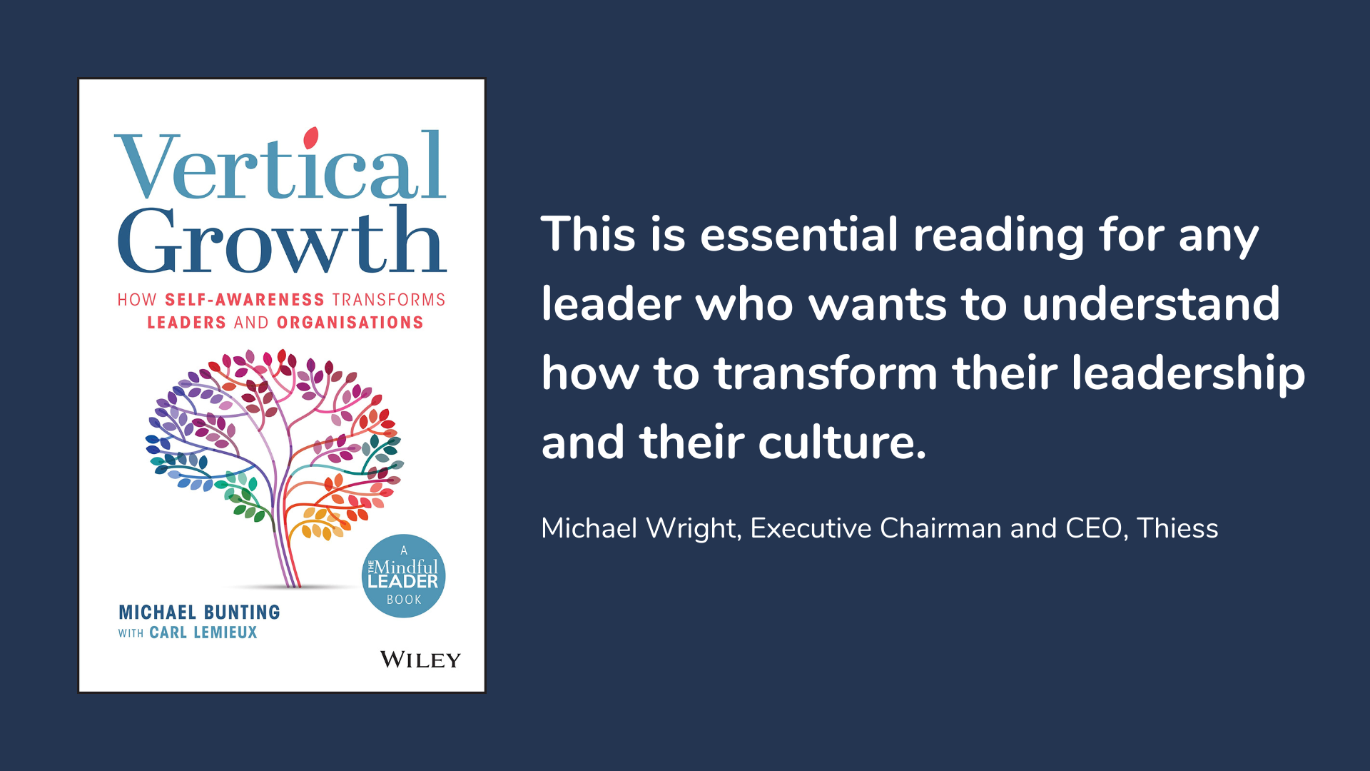 Vertical Growth: How Self-Awareness Transforms Leaders and Organisations, book cover and description.