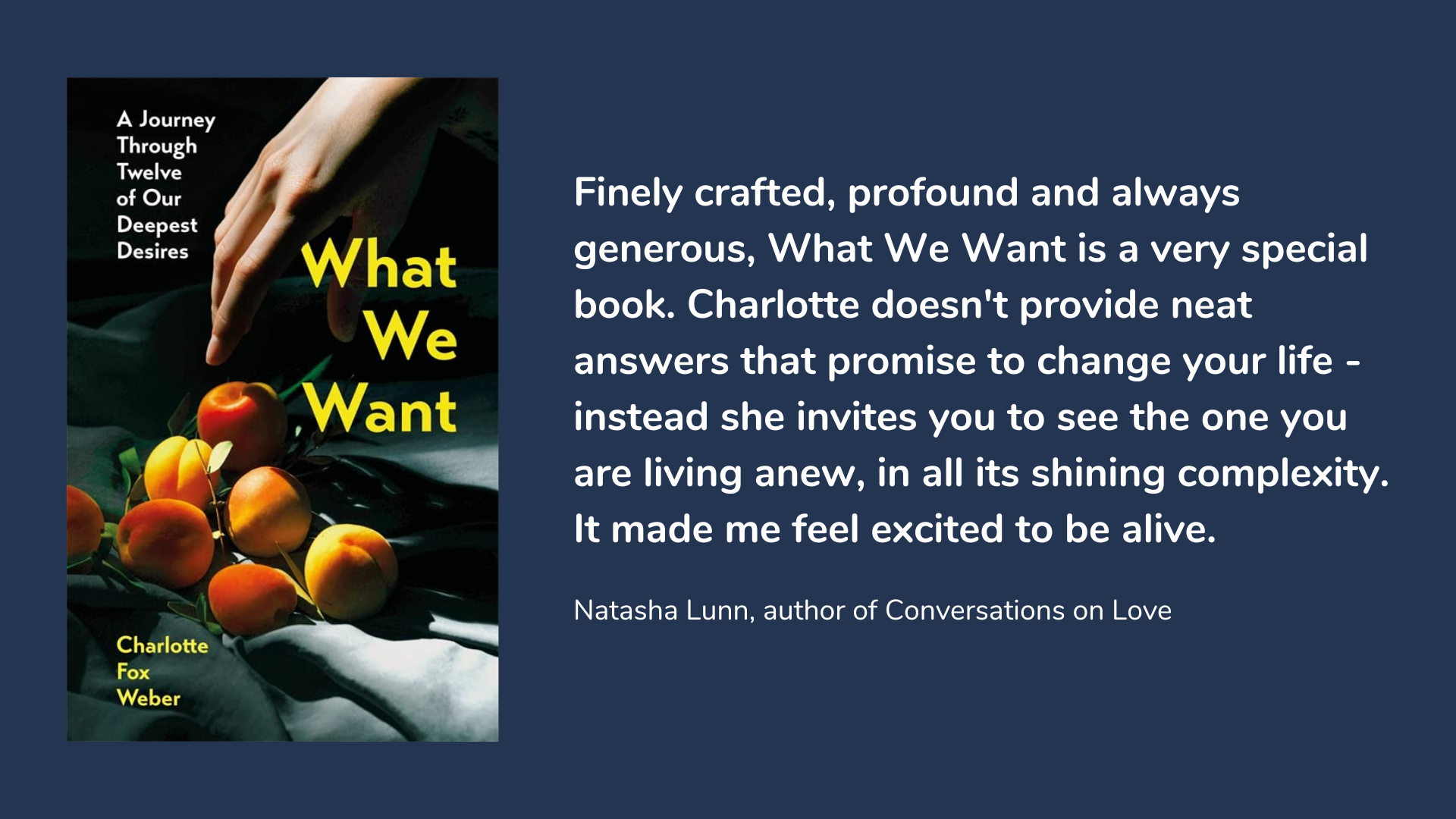 What We Want: A Journey Through Twelve of Our Deepest Desires, book cover and description.