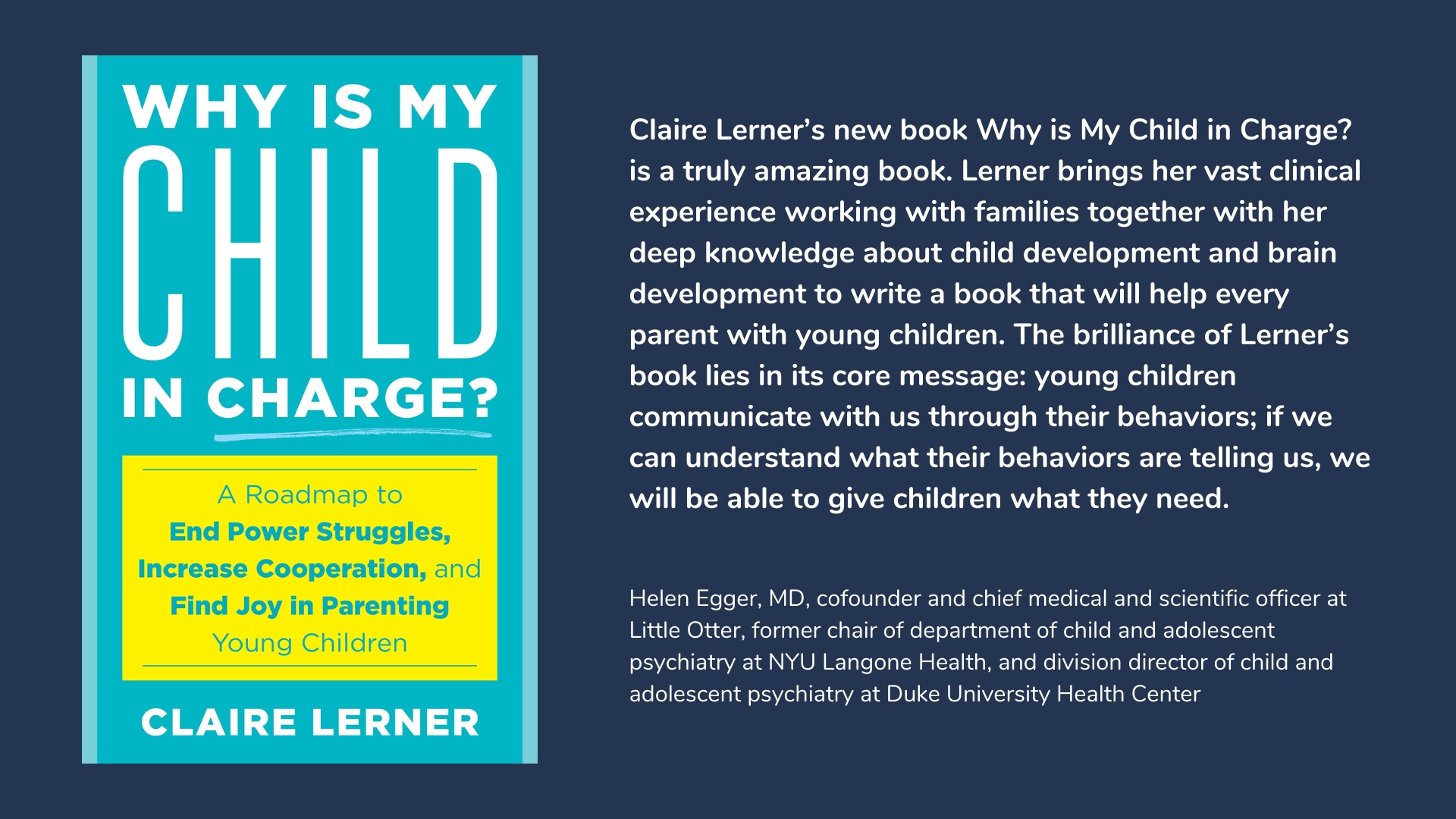 Why Is My Child in Charge?, book cover and description.