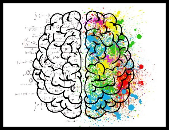 Left-Brain Right-Brain Myth