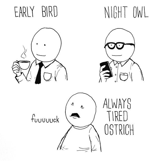 What kind of bird are you? Cartoon by Jake Likes Onions