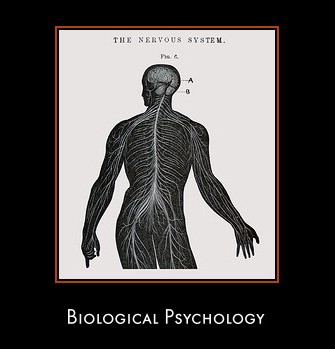 Biological Psychology