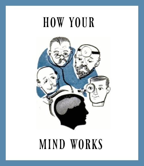 How The Human Mind Works