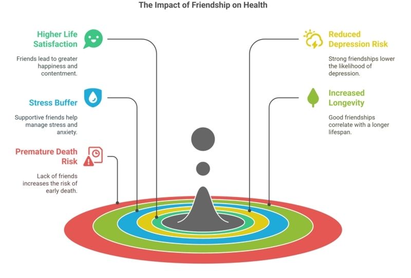 Infographic illustrating how friendship affects health, including benefits like stress buffering, reduced depression risk, increased longevity, and higher life satisfaction.