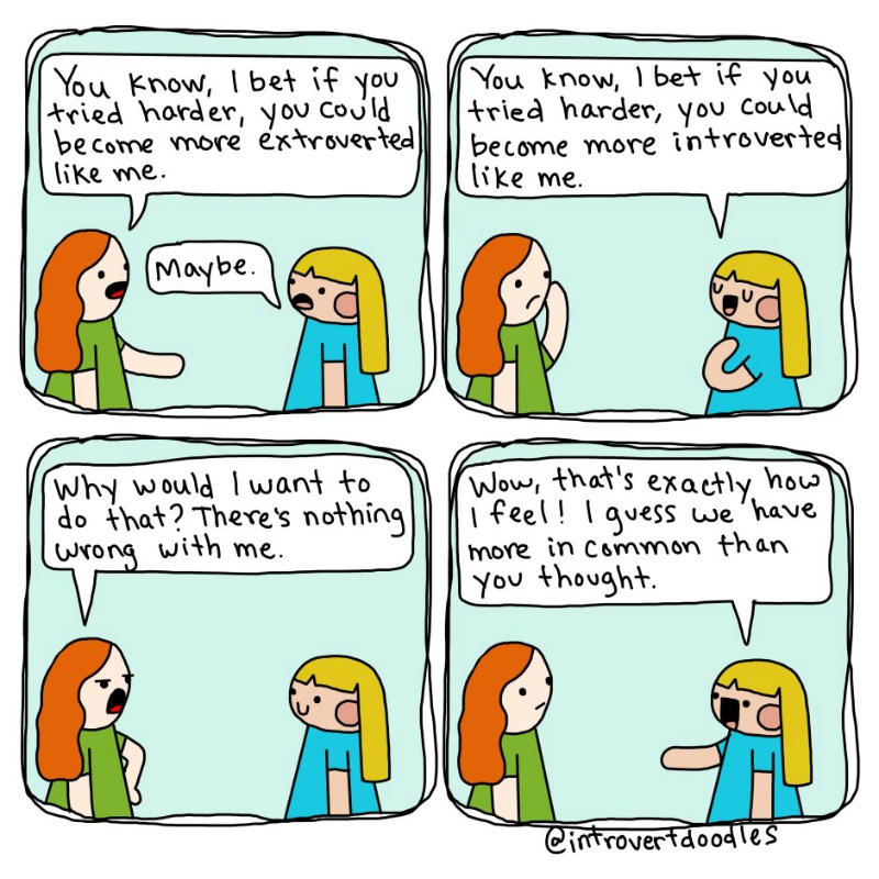 Introvert Extrovert Common Ground