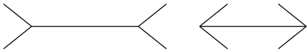 Müller-Lyer illusion demonstrating how visual context influences perceived direction