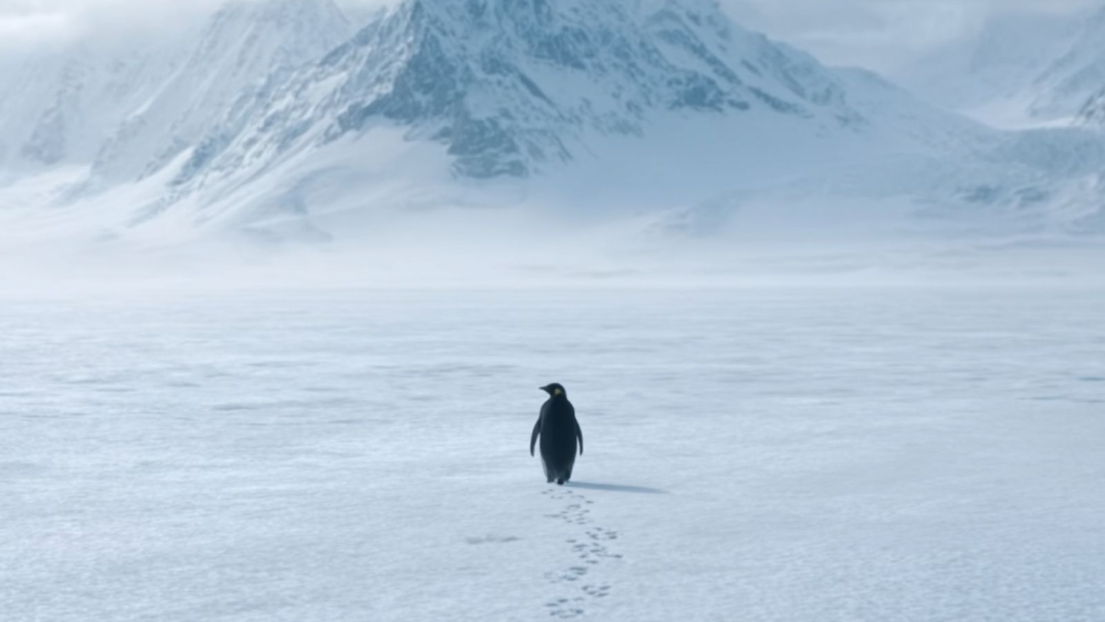 A lone penguin walking across ice toward distant mountains, illustrating the viral nihilist penguin meme and its psychological meaning.