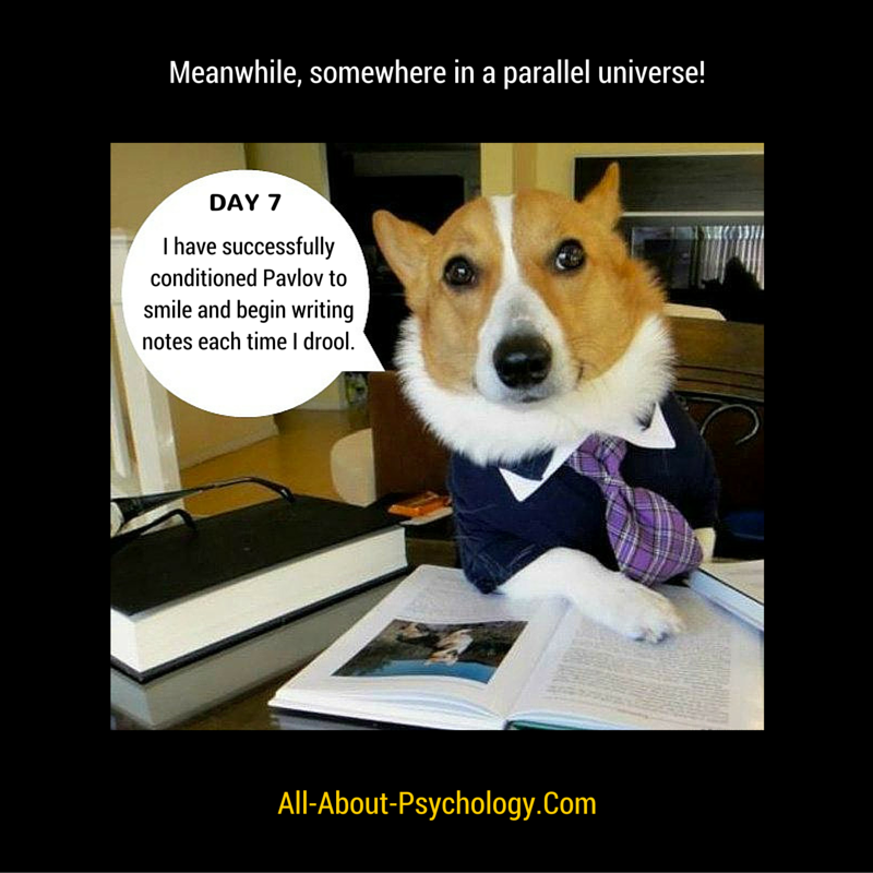 Pavlov Meme