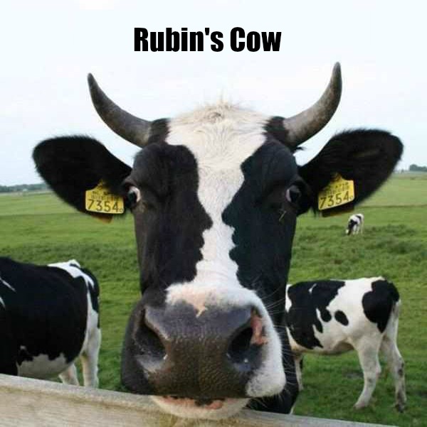 Rubin's Cow