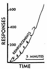 'Reconditioning' of a superstitious response after extinction