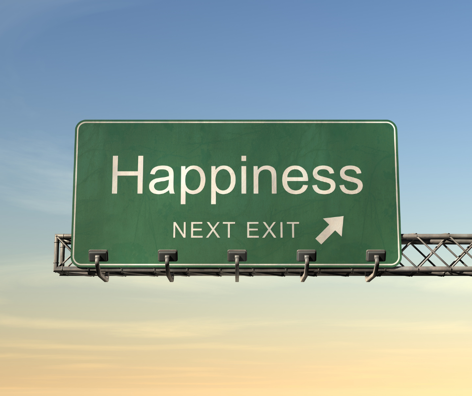 Large road sign with the words "happiness next exit".
