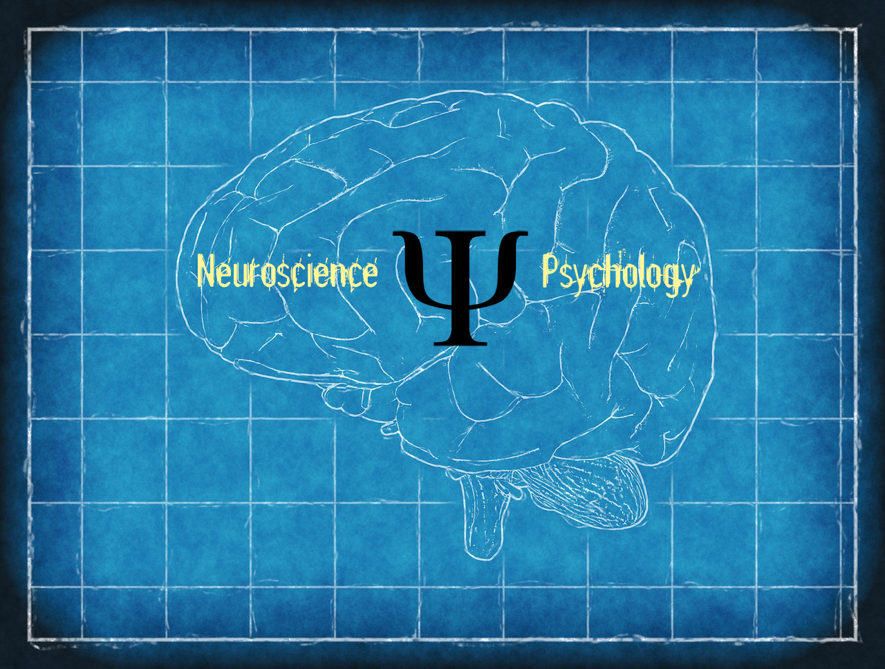 Excellent article on the role of neuroscience in psychology by Dr. Kevin Fleming.