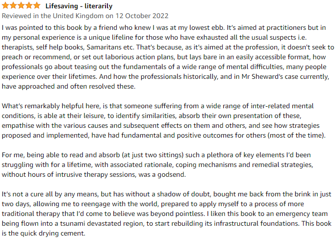 Working on the Frontline of Mental Health: A CBT Therapist's Casebook Amazon Review