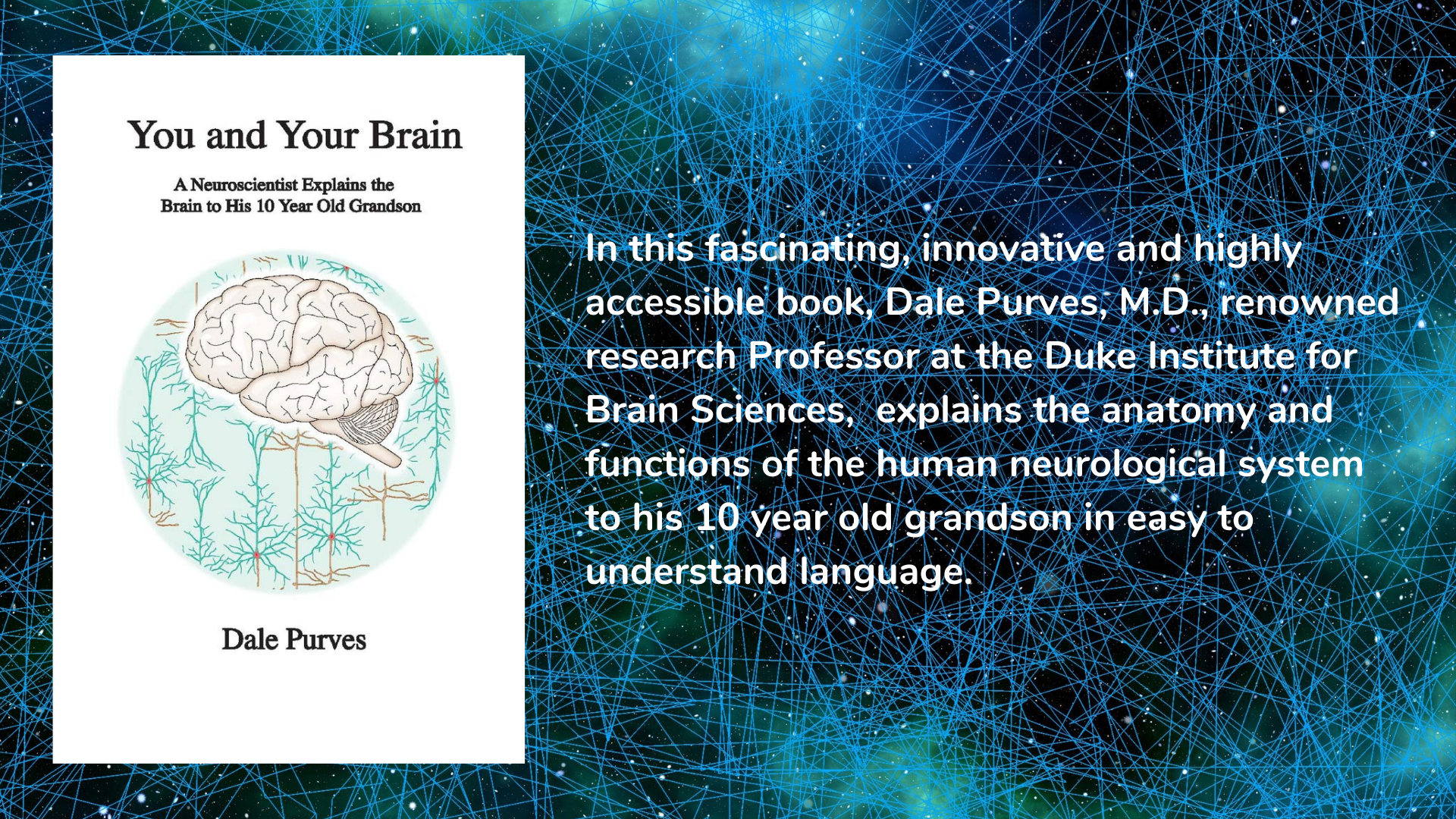 You and Your Brain, book cover and description.